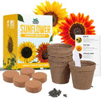 Sunflower Seed Growing Kit -All in One Sun Flower Garden Kit - A Complete Sunflower Gift - Beginner Starter Plants- Seed Variety Pack