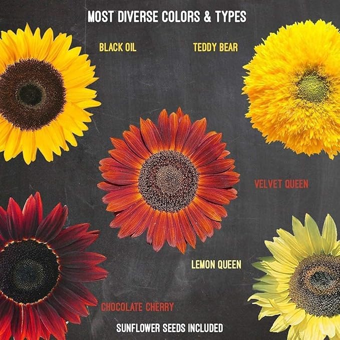 Sunflower Seed Growing Kit -All in One Sun Flower Garden Kit - A Complete Sunflower Gift - Beginner Starter Plants- Seed Variety Pack