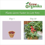 (4 Inch, 12 Pack Coco Coir Plant Pots, Biodegradable Peat Pots for Seed Starter & Seedling Kit, Small Plant Pots Germination, Mini Planter Cups for Indoor, Outdoor, Organic Planting