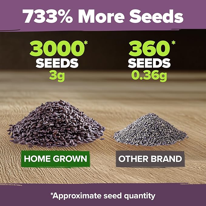 HOME GROWN English Lavender Seeds 2 Pack 3000 Non GMO Wildflower Seed, for Planting Indoor Outdoor High Germination Flower Seeds (Lavandula antustifolia)