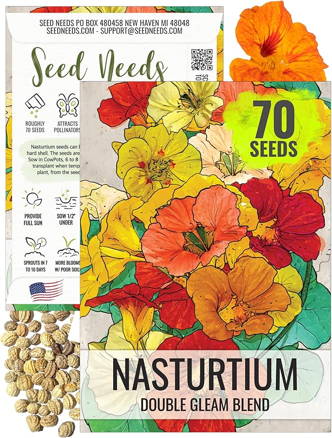 Seed Needs Nasturtium Seeds for Planting Double Gleam Nasturtiums - Non-GMO Heirloom & Untreated Flower Seed to Plant and Grow a Home Grown Edible Wildflower Garden