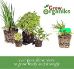 (4 Inch, 12 Pack Coco Coir Plant Pots, Biodegradable Peat Pots for Seed Starter & Seedling Kit, Small Plant Pots Germination, Mini Planter Cups for Indoor, Outdoor, Organic Planting